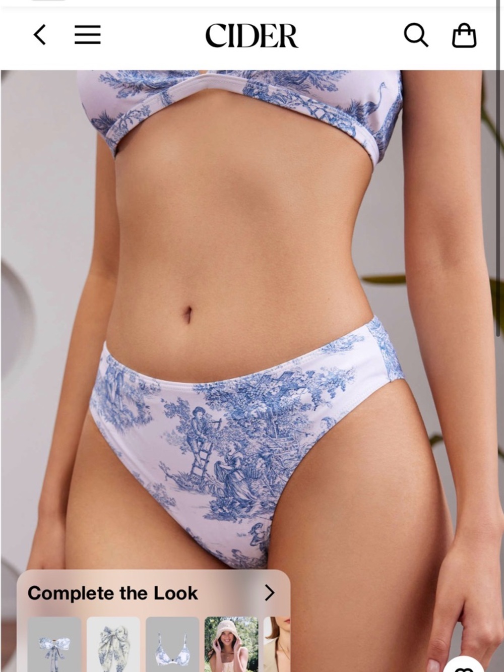 Two Cider Suits- Toile de Jouy Bandeau and Triangle Bikini Tops and Bottom